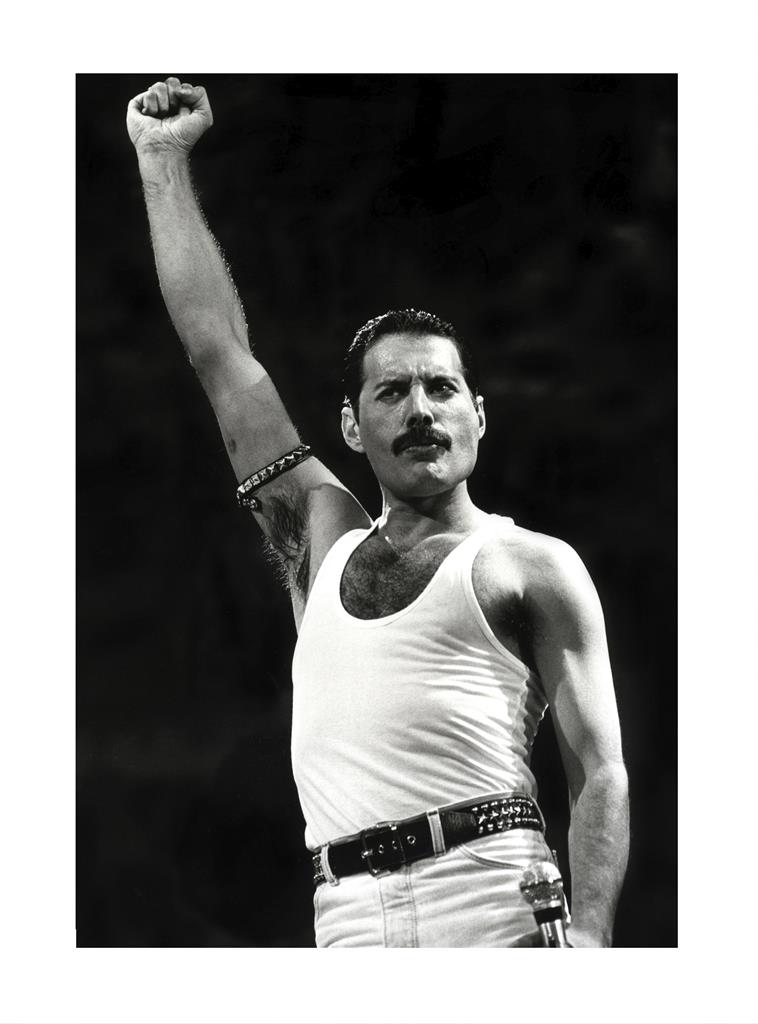 Freddie Mercury Black and White Framed Art (32 x 24