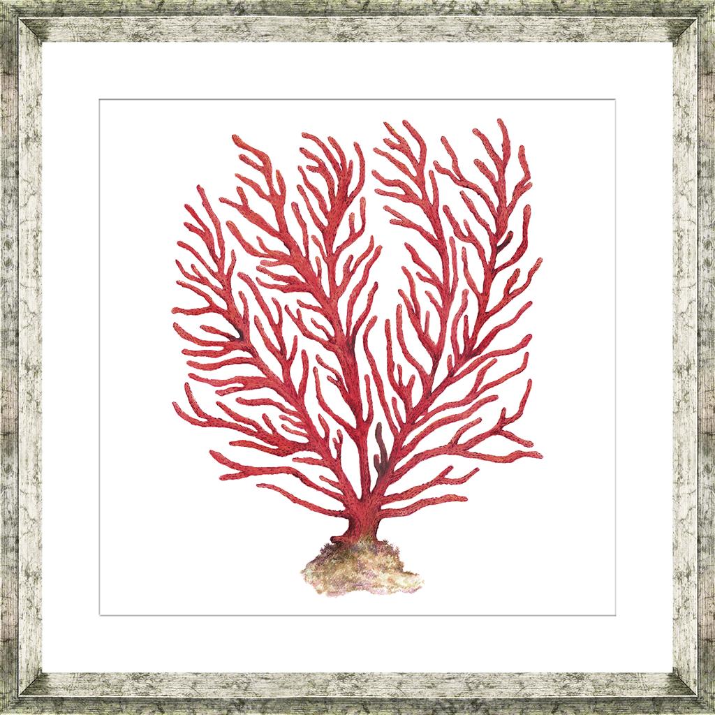 Red Coral 5 Square (16 x 16'') | Designer Collection